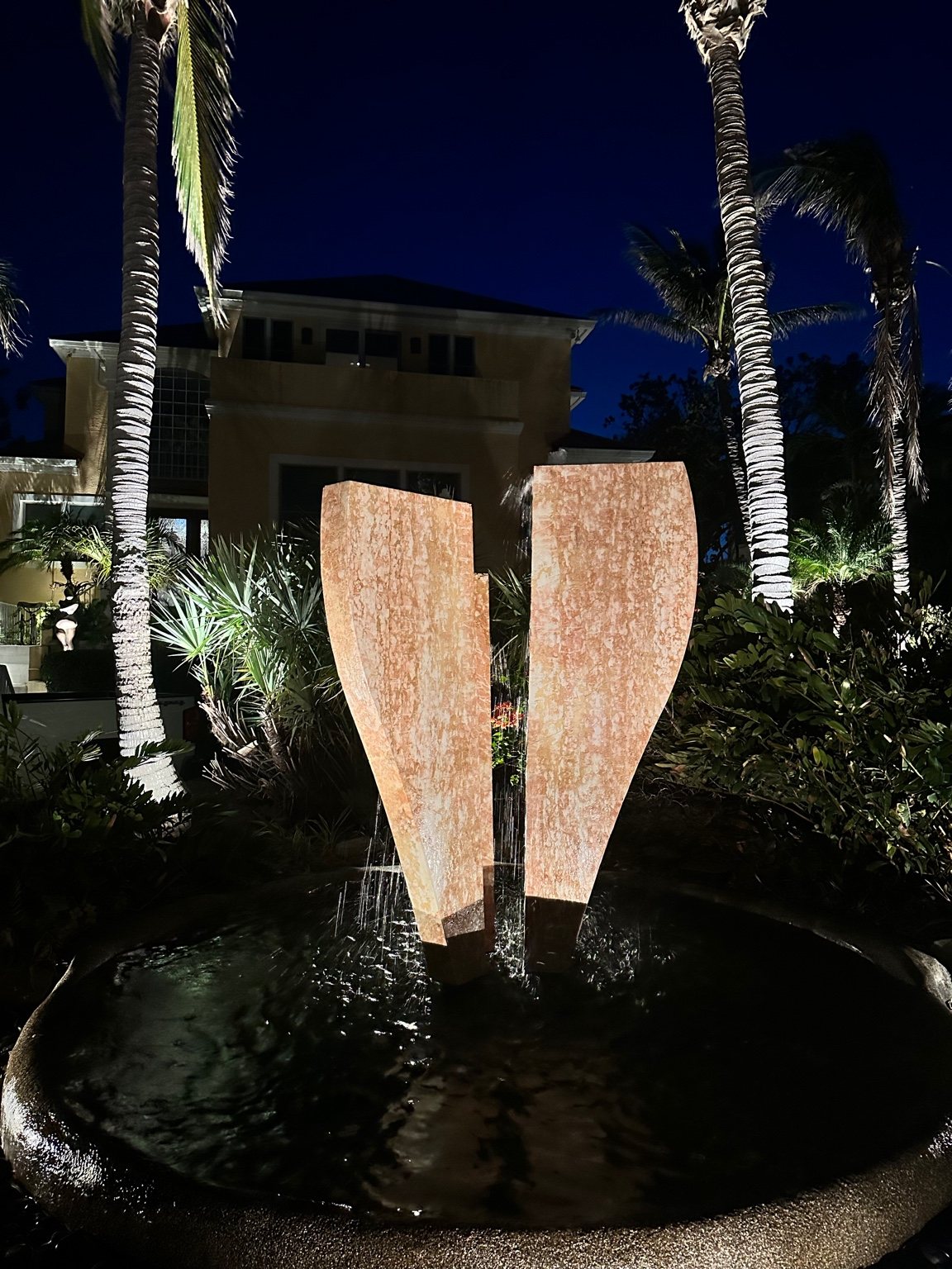 Water feature and palm landscape lighting